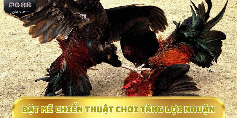 Bật mí chiến thuật chơi tăng lợi nhuận