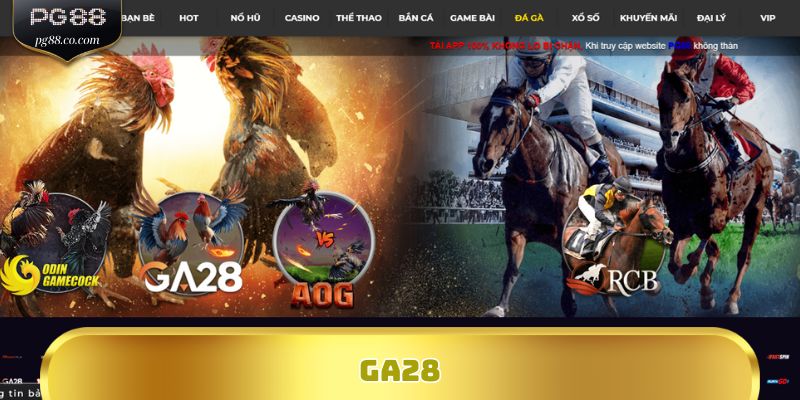 Trải Nghiệm Đá Gà GA28 – Kèo Hấp Dẫn, Thắng Ngay Hôm Nay