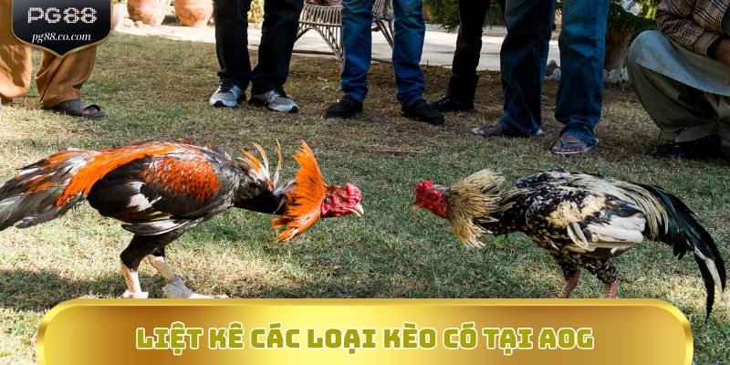 Liệt kê các loại kèo có tại AOG