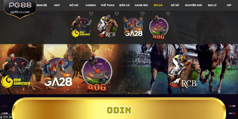Trải Nghiệm Đá Gà ODIN Trực Tiếp – Cá Cược Thắng Lớn Tại PG88