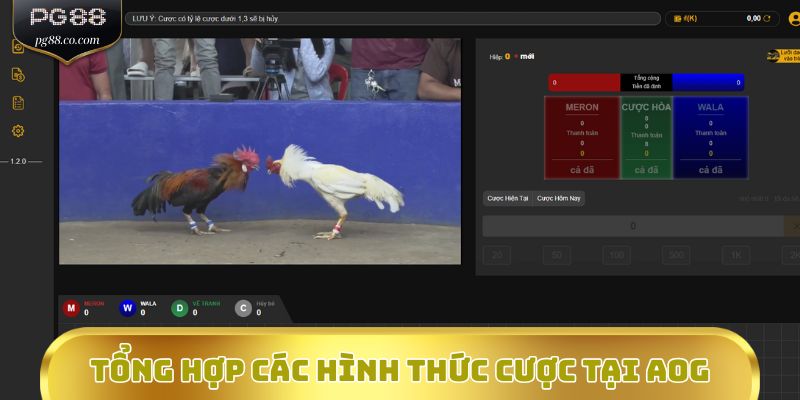 Tổng hợp các hình thức cược tại AOG