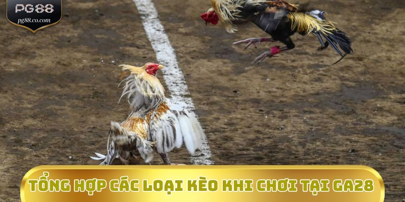 Tổng hợp các loại kèo khi chơi tại GA28